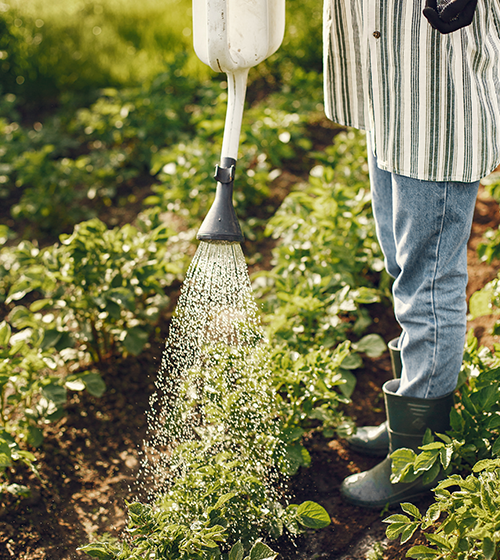 water and irrigation